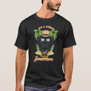 Camiseta São 5 Horas em Algum Lugar Bebendo Newfoundland