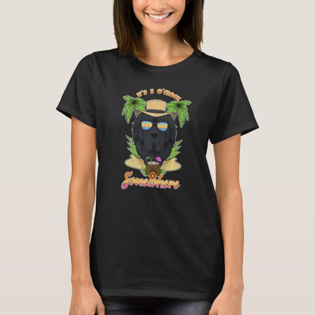 Camiseta São 5 Horas em Algum Lugar Bebendo Newfoundland   (Frente)