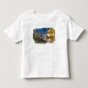 Camiseta São Petersburgo, fontes da Grand Cascade