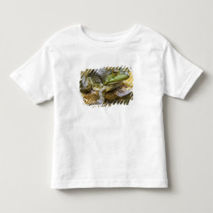 Camiseta Sapo ao longo do rio Buffalo, Milha 126 no