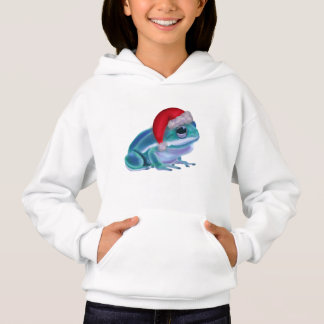 Camiseta Sapo azul com chapéu de Papai Noel.
