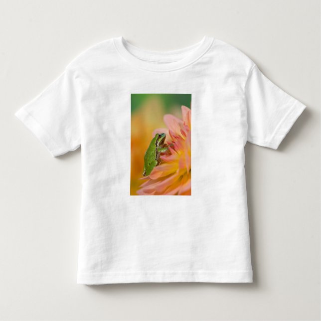 Camiseta Sapo de árvore do Pacífico em flores em nosso jard (Frente)