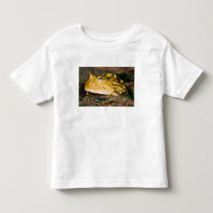 Camiseta Sapo-de-chifres-do-Brasil, Ceratophrys cornuta, 3