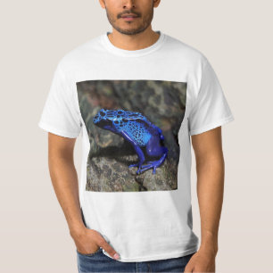 Camiseta Sapo de dardos azuis, Sapo azul brilhante