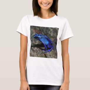 Camiseta Sapo de dardos azuis, Sapo azul brilhante