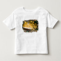 Sapo do Corno brasileiro, Ceratophrys cornuta, 3