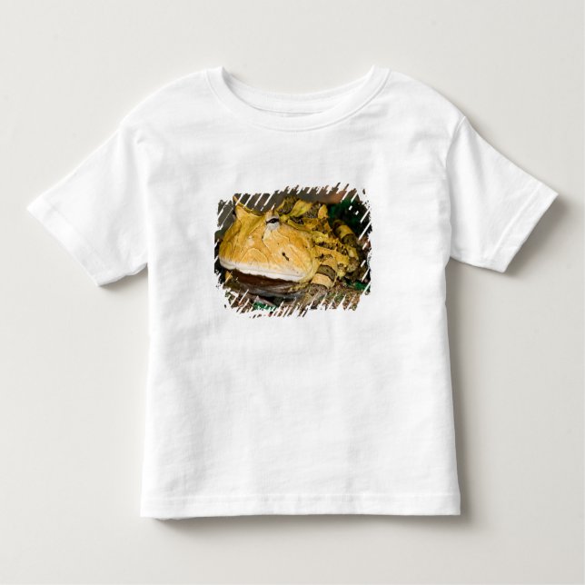 Camiseta Sapo do Corno brasileiro, Ceratophrys cornuta, 3 (Frente)