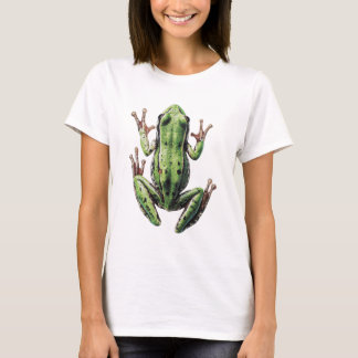 Camiseta Sapo rastejando