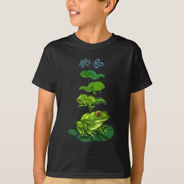 Camiseta Sapo Tadpole Biology Metamorfose Life Cycle Art (Frente)