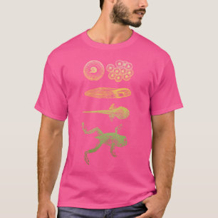 Camiseta Sapo Tadpole Metamorfose Biologia do Ciclo de Vida