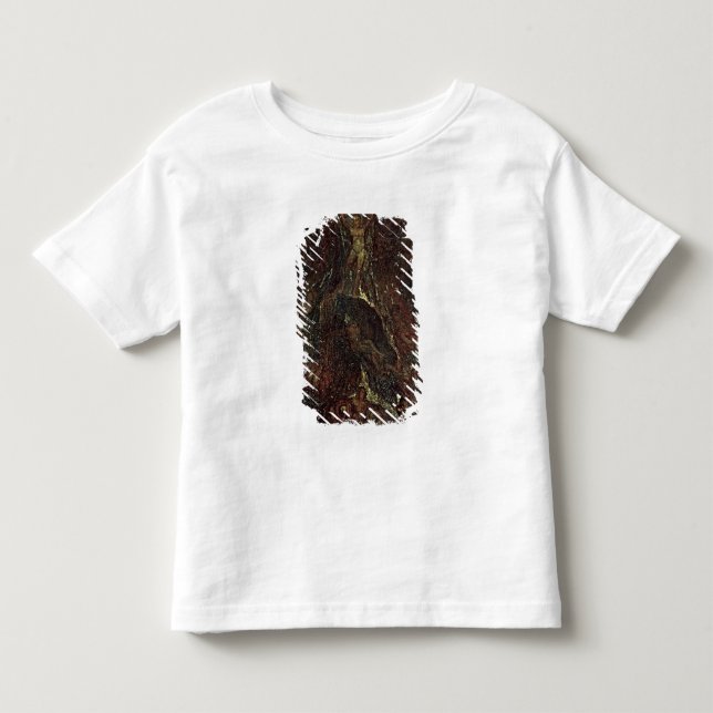 Camiseta Satã que chama acima de suas legiões (Frente)
