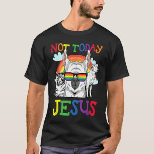 Camiseta Satanico LGBT Q Não Hoje Jesus Lhama Gato Cachorro