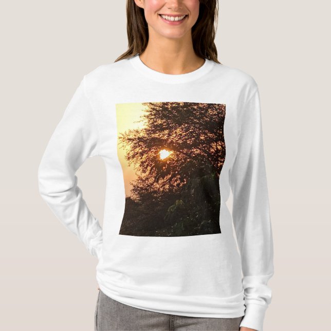 Camiseta Satyam Group (Frente)