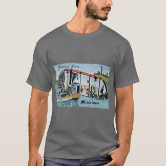 Camiseta Saudações De Alpena