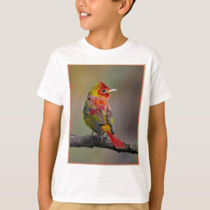 Camiseta Scarlet Tanager Molting - Fotografia original