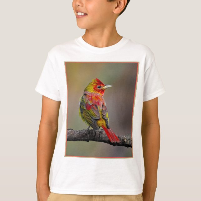 Camiseta Scarlet Tanager Molting - Fotografia original (Frente)