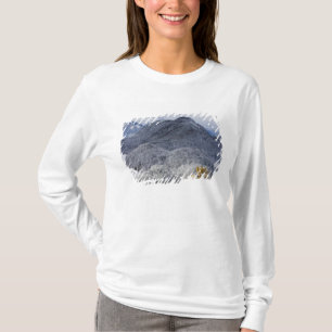 Camiseta Schloss Hohenschwangau