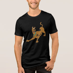 Camiseta Scooby-Doo Pronto Para Jogar