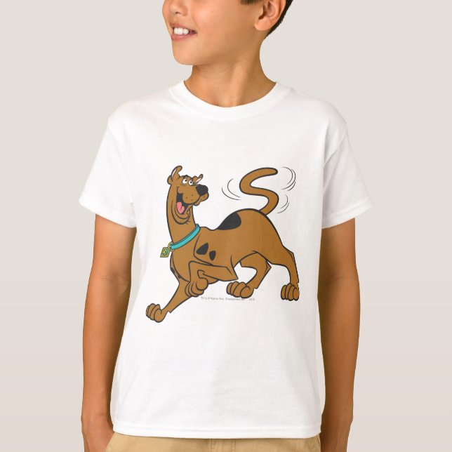 Camiseta Scooby-Doo Tail Wag (Frente)