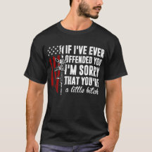 Se eu já te ofendi, sinto muito por ser a bandeira