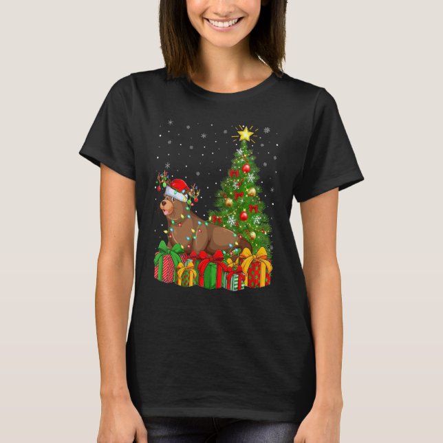 Camiseta Sea Lion   Xmas Holiday Santa Sea Lion Christmas T (Frente)