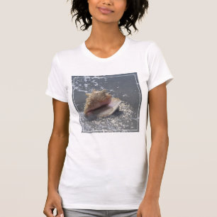 Camiseta Seashell na ilha da praia Sanibel, Florida
