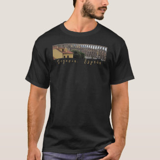 Camiseta Segovia Aquaduct