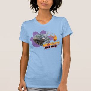 Camiseta Segunda-Feira, Estou Certo?