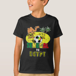 Camiseta Seleção Senegalesa de Futebol Para o Egito Retro