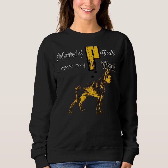 Camiseta Sem Medo De Quedas Eu Tenho Meu Pitbull (Frente)