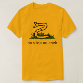 Camiseta Sem passo no furo