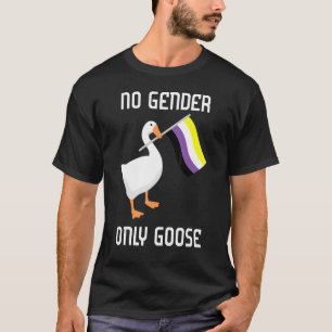 Camiseta Sem Sexo Apenas Ganhar Sinalizador Não Binário Org