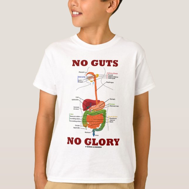 Camiseta Sem Tripas Sem Glória (Humor com Anatomia do Siste (Frente)