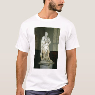 Camiseta Senhor Isaac Newton