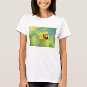 Camiseta senhora por cima