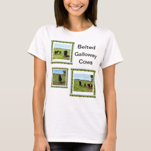 Camiseta Senhoras Belted Galloway Cows T-shirt,