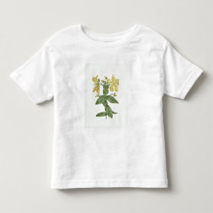 Camiseta Sensação-Esforço (quartinianum do Hypericum) (w