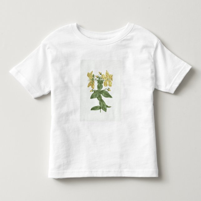 Camiseta Sensação-Esforço (quartinianum do Hypericum) (w/c (Frente)