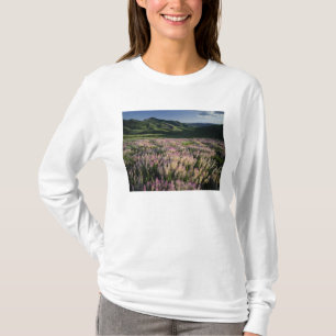 Camiseta Serra e Jarbridge Wilderness, Nevada, Esporão