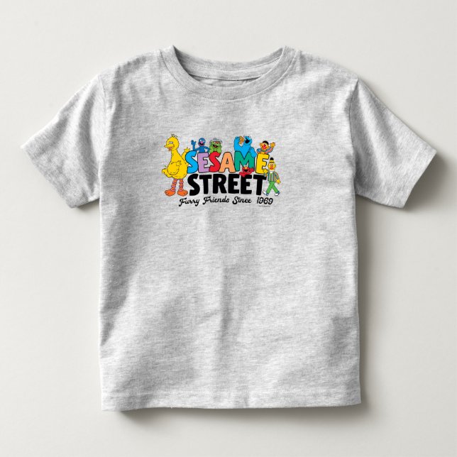 Camiseta Sesame Street | Amigos Peludos Desde 1969 (Frente)