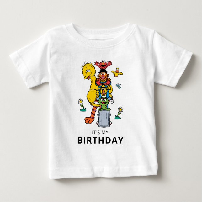 Camiseta Sesame Street Characters & Street Sign Birthday Ba (Frente)