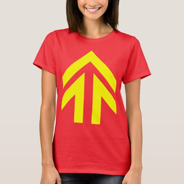 Camiseta Seta oca (Frente)