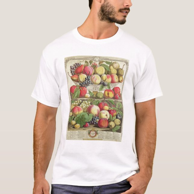 Camiseta Setembro, 'de doze meses das frutas (Frente)