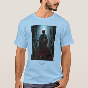Camiseta Seu nome desaparecerá