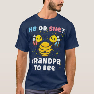 Camiseta Sexo De Bebê Correspondente Revela Festa Ele Ou El