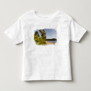 Camiseta Seychelles, Ilha de Mahe, praia de Anse Takamaka,