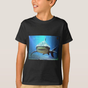 Camiseta shark-5