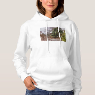 Camiseta Shed Abandonado