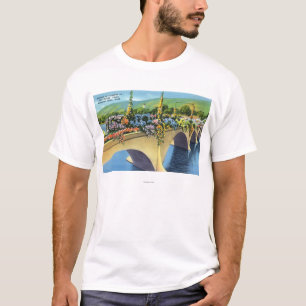 Camiseta Shelburne cai ponte das flores