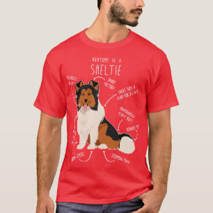Camiseta Sheltie Shetland Sheepdog Anatomia 1